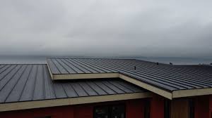 Best Rubber Roofing (EPDM, TPO)  in Encinal, TX